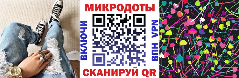 купить закладку  Лесной  Псилоцибиновые грибы Magic Shrooms 