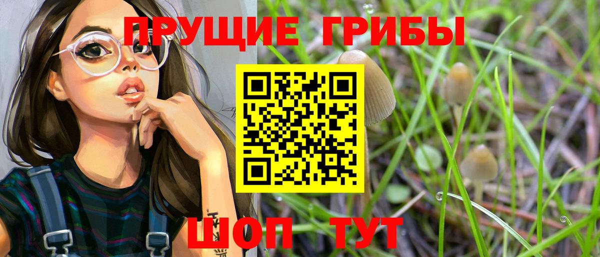 Лесной  Галлюциногенные грибы GOLDEN TEACHER  Вход с VPN 