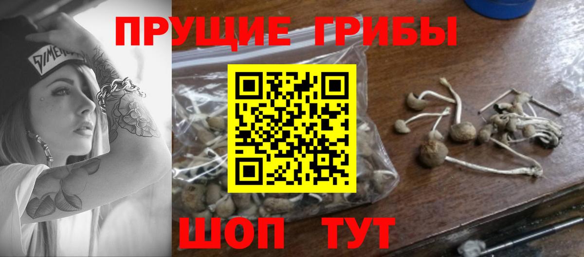 ГЕРОИН Лесной