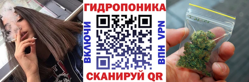 МАРИХУАНА индика  Лесной 